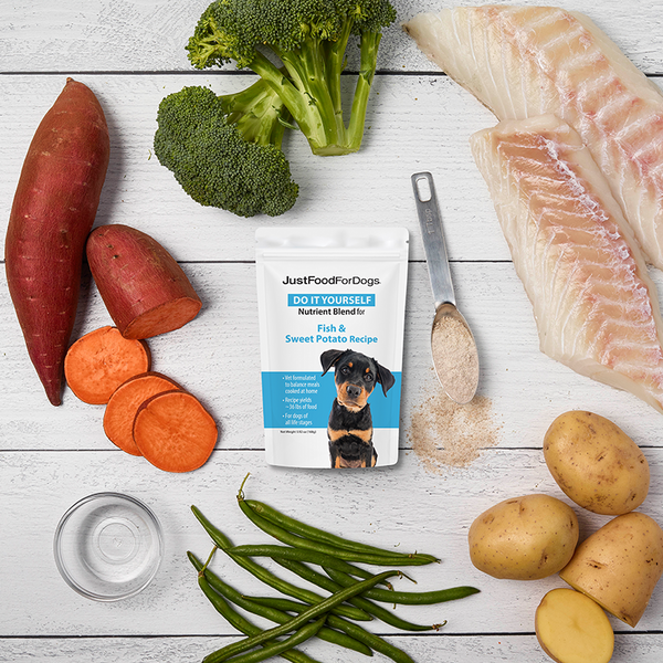 Fish meal deals for dogs
